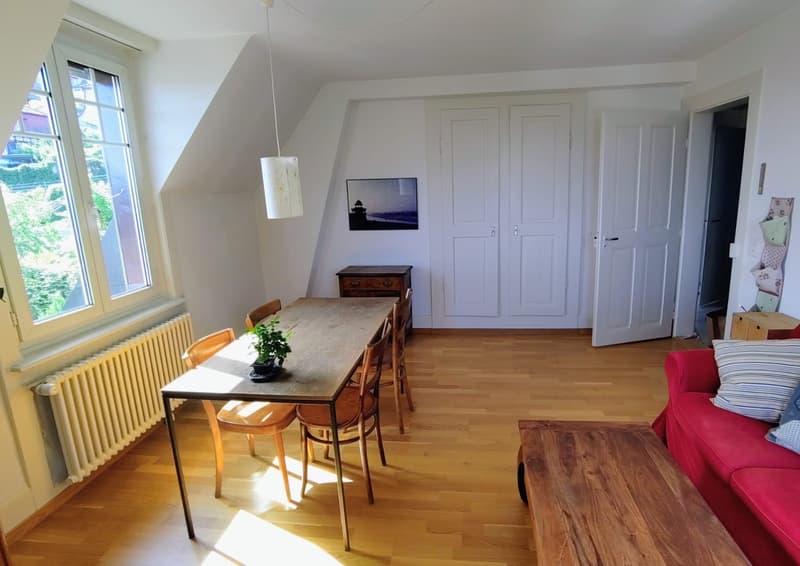 3-Bedroom Attic Apartment (3)