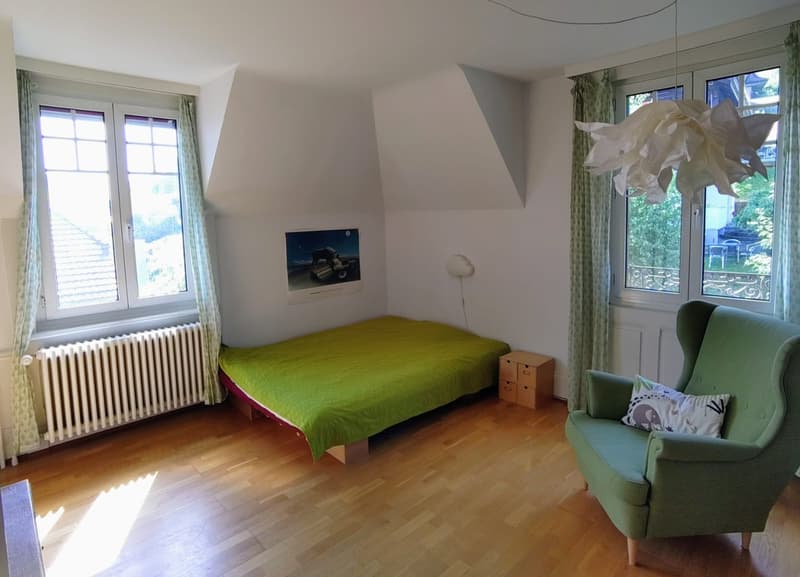3-Bedroom Attic Apartment (7)