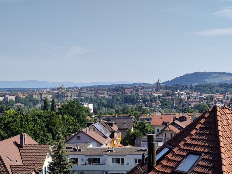 3-Bedroom Attic Apartment (4)