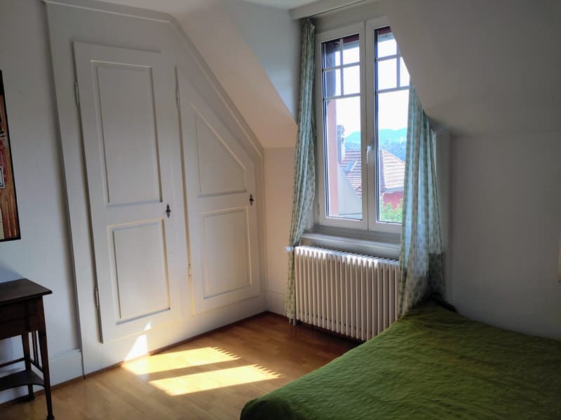 3-Bedroom Attic Apartment (8)