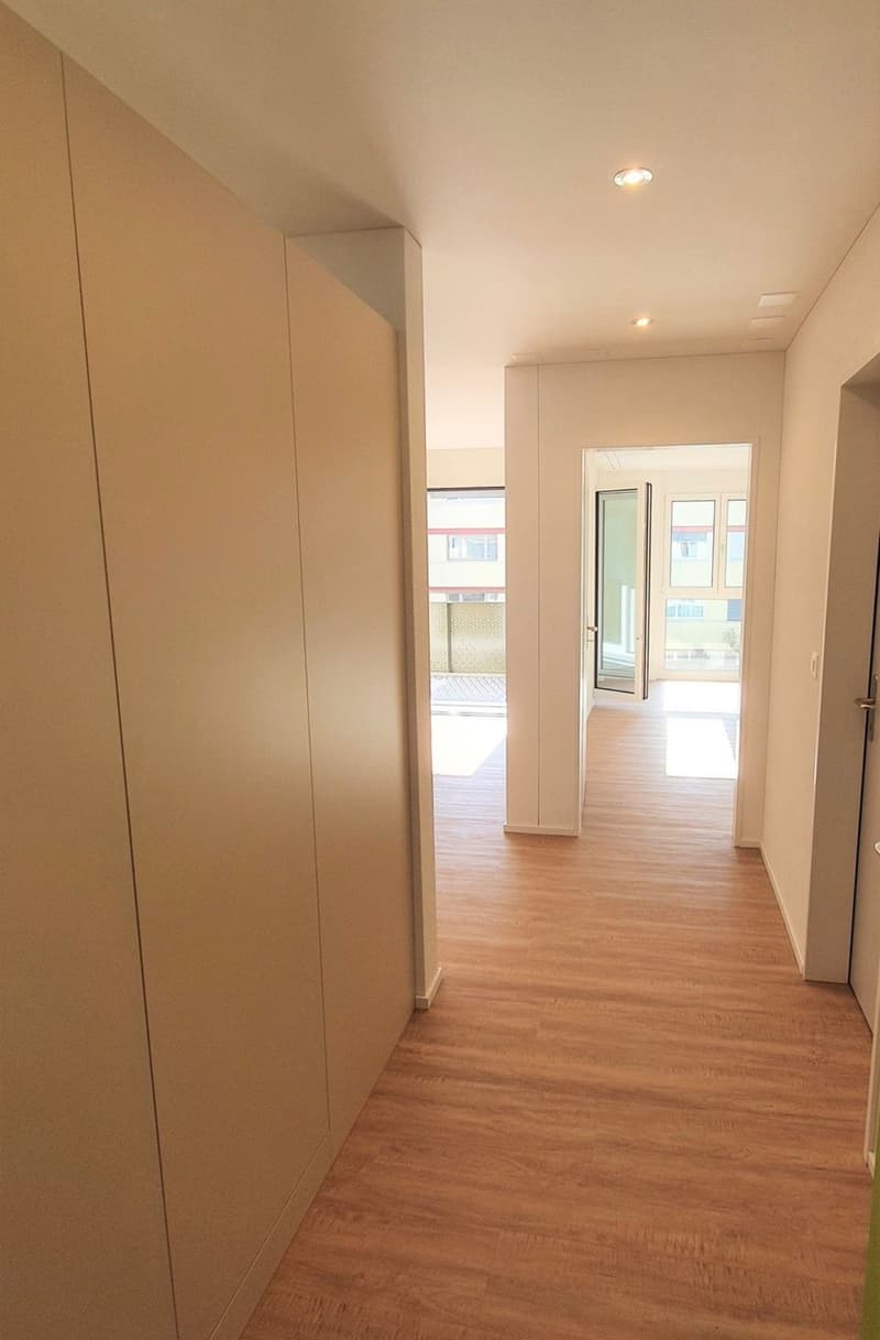 2,5 m² Wohnung in Wetzikon zu vermieten (10)