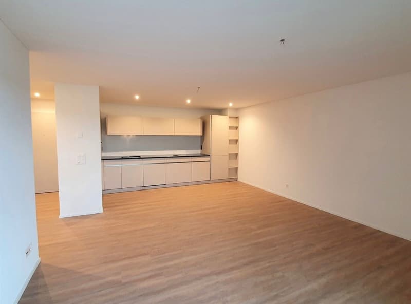 2,5 m² Wohnung in Wetzikon zu vermieten (5)