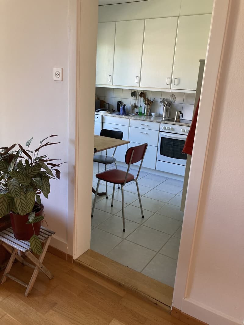3-Bedroom Apartment in 3007 Bern (5)