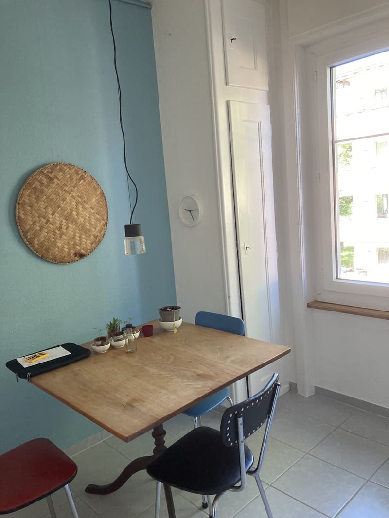 3-Bedroom Apartment in 3007 Bern (4)