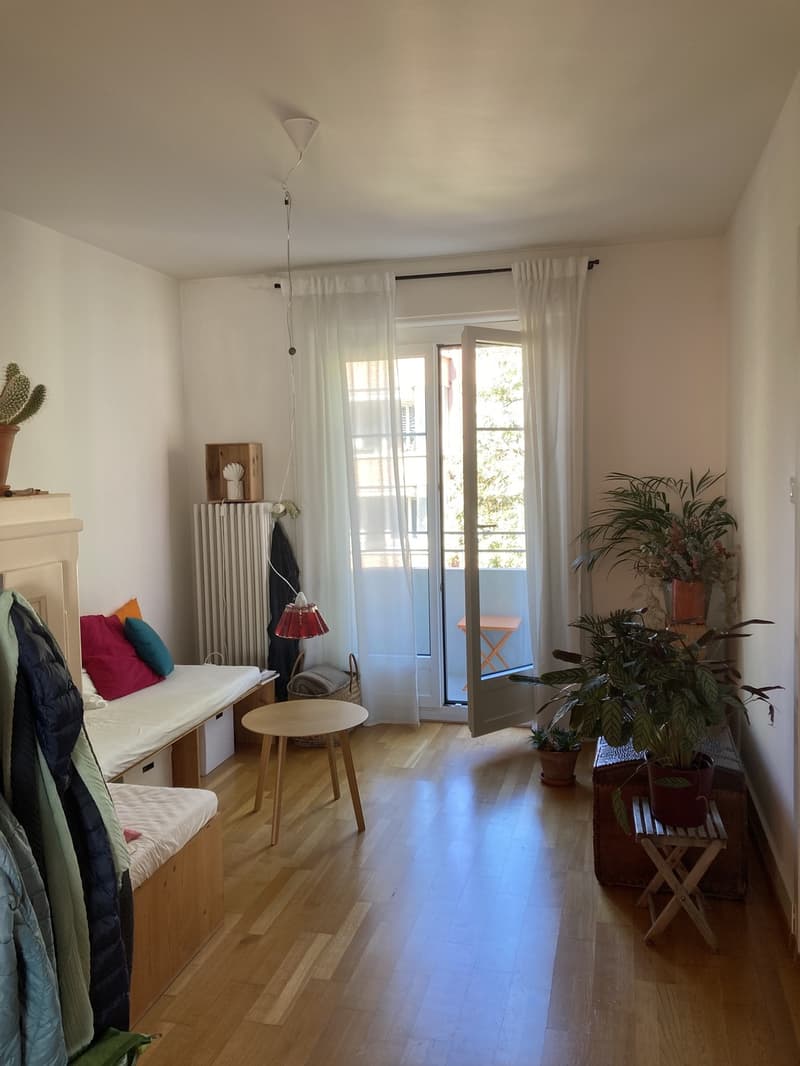 3-Bedroom Apartment in 3007 Bern (3)