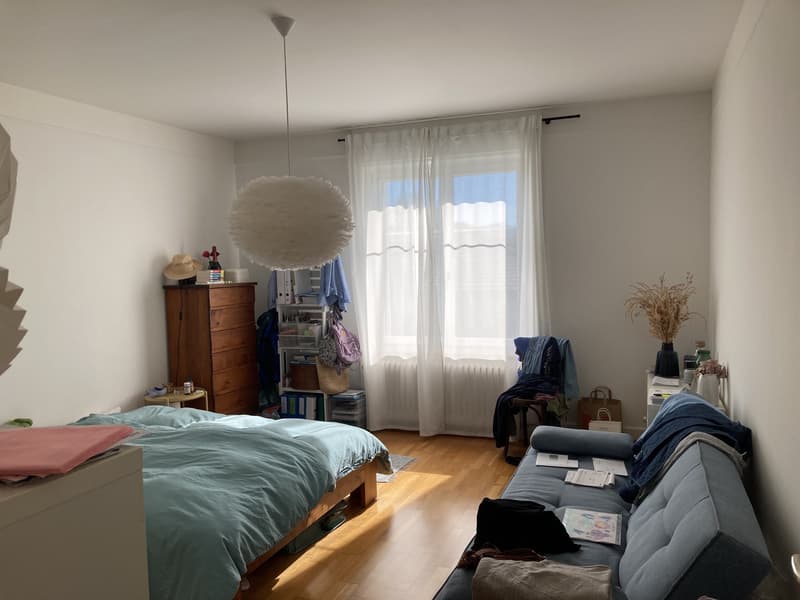 3-Bedroom Apartment in 3007 Bern (2)