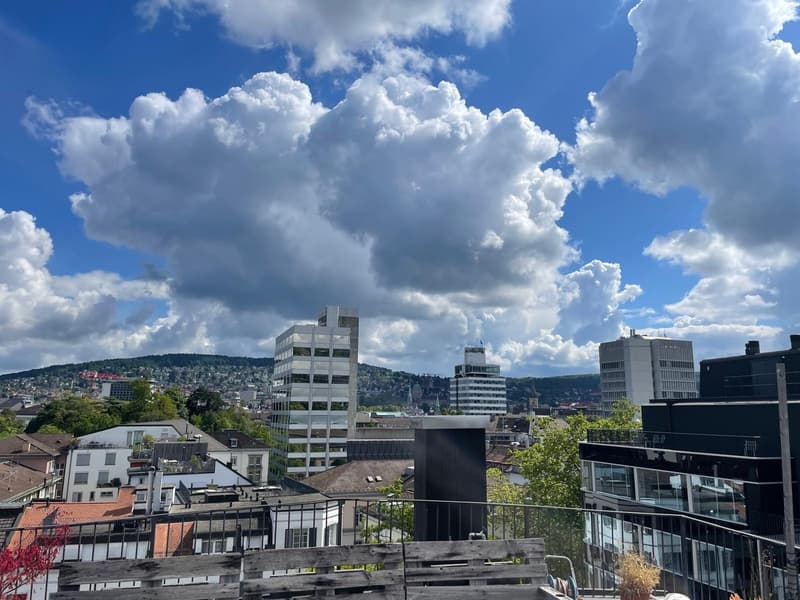 Spacieuse chambre meublée au cœur de Zurich (8)