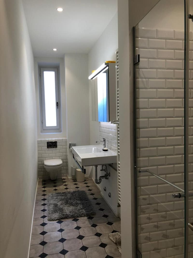 Spacieuse chambre meublée au cœur de Zurich (5)