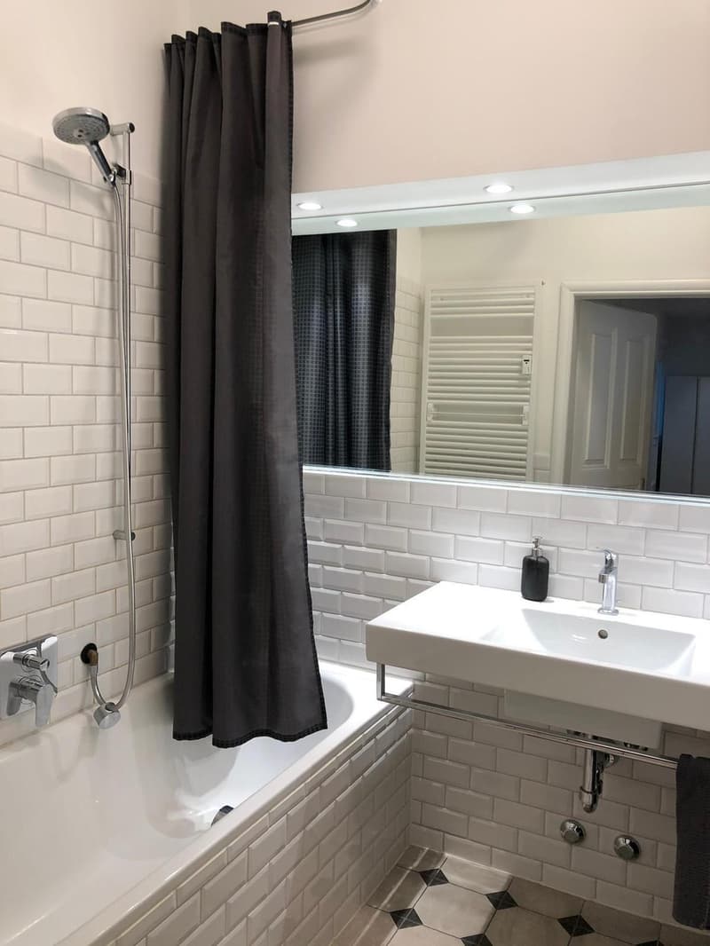 Spacieuse chambre meublée au cœur de Zurich (6)