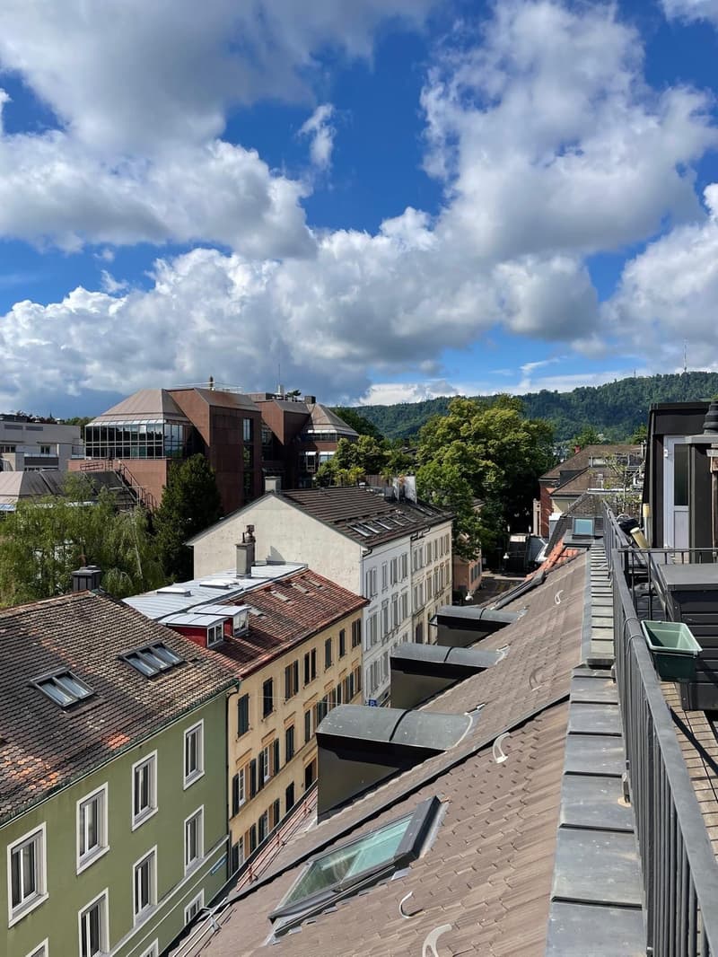 Spacieuse chambre meublée au cœur de Zurich (7)