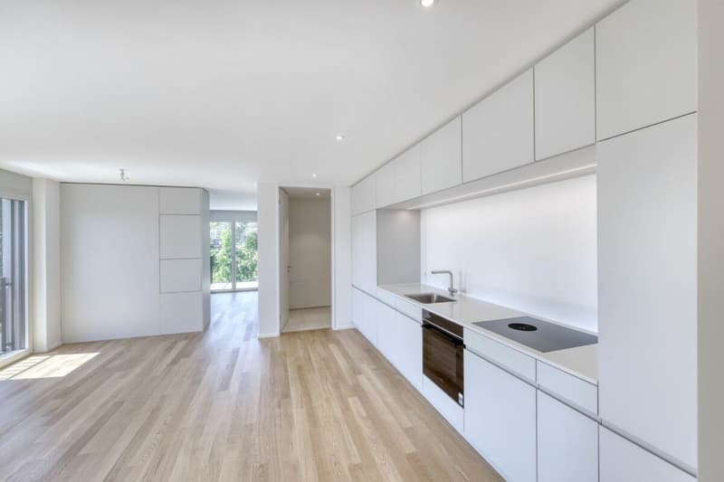 Moderne 2.5-Zimmer Wohnung (2)