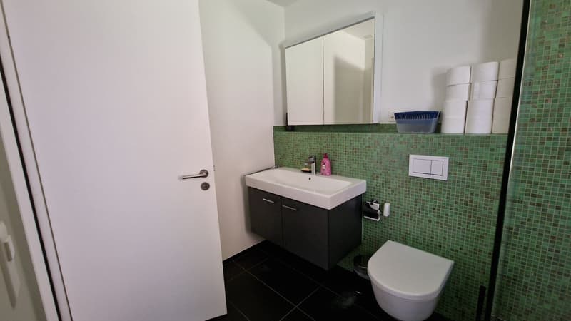 WG Zimmer, 8037 Zurich (4)