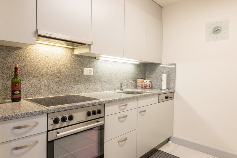 2 ½ room apartment, 8805 Richterswil (3)