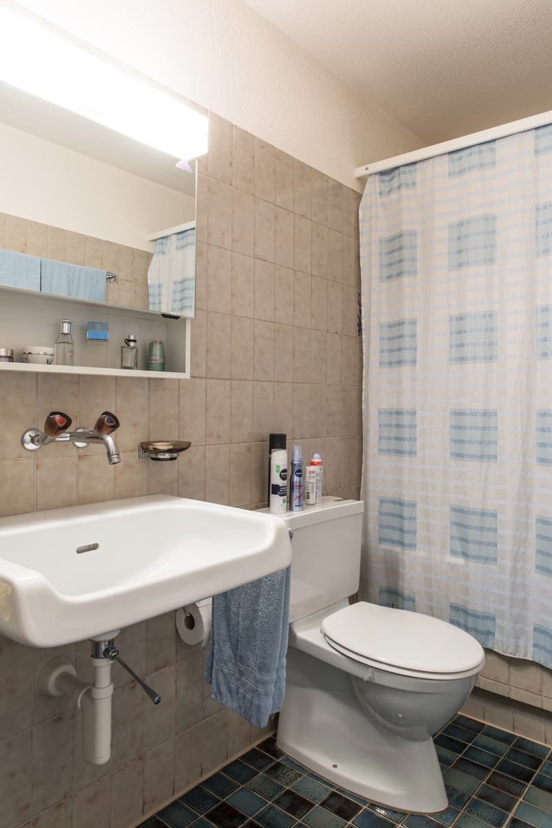 2 ½ room apartment, 8805 Richterswil (2)