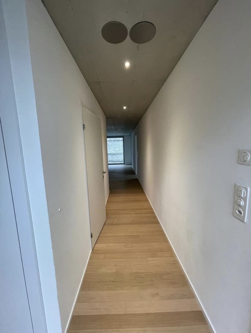 Tenant wanted - 3.5 rooms - Wallisellen (5)