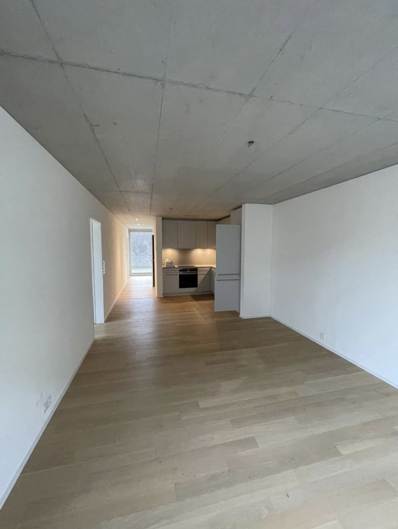 Tenant wanted - 3.5 rooms - Wallisellen (2)