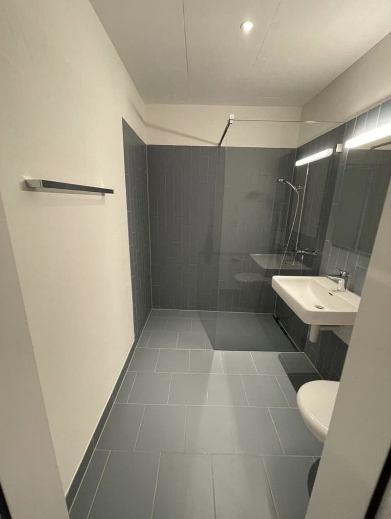 Tenant wanted - 3.5 rooms - Wallisellen (4)