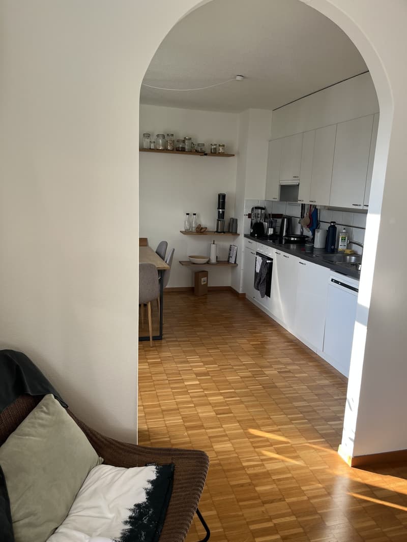 Appartement confortable dans le centre de Zurich (3)