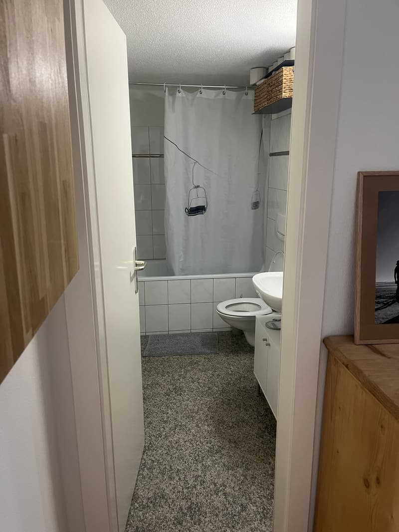 Appartement confortable dans le centre de Zurich (6)