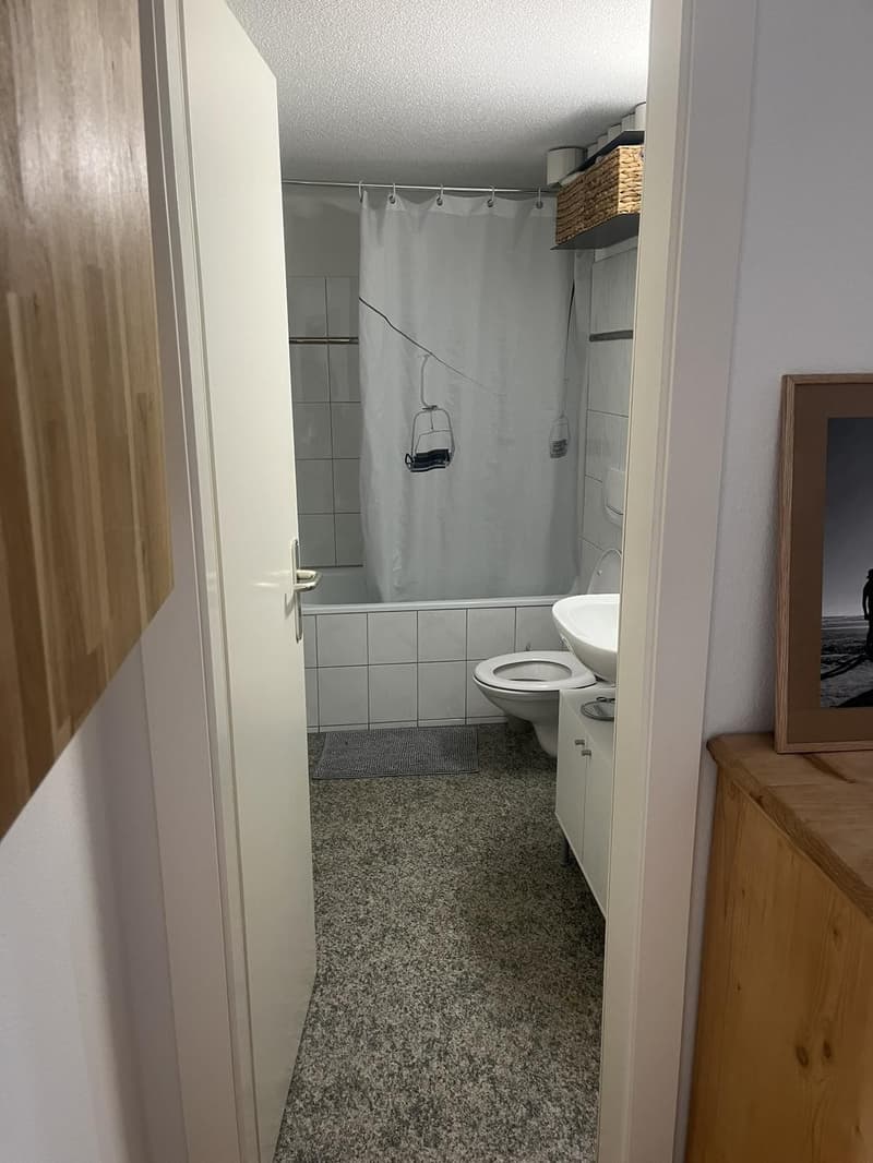 Zentral gelegene Wohnung zur Untermiete (4)