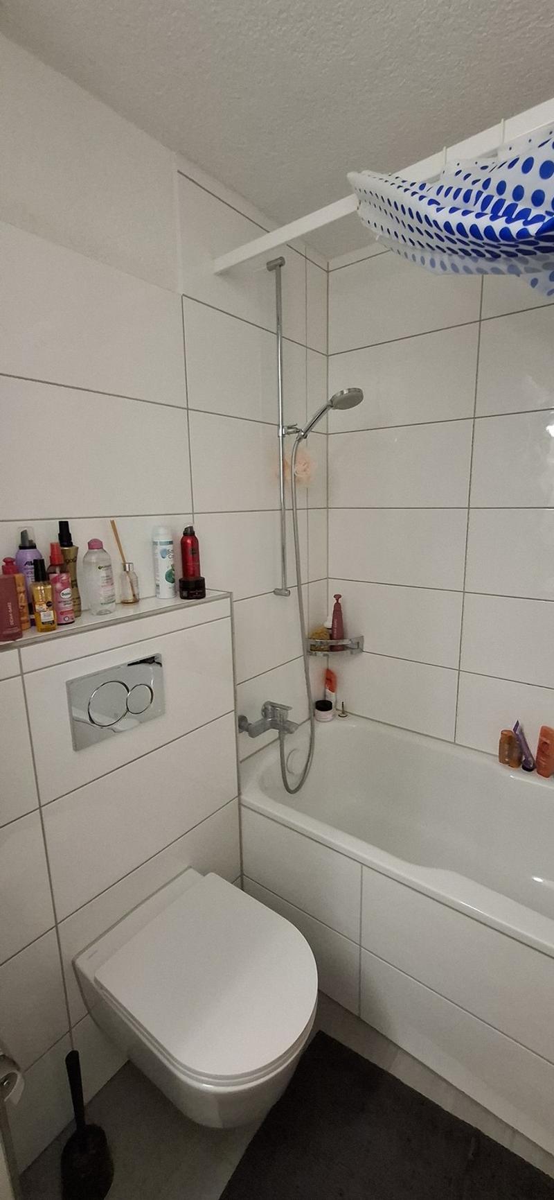 Appartement 4.5 pièces Berikon (3)