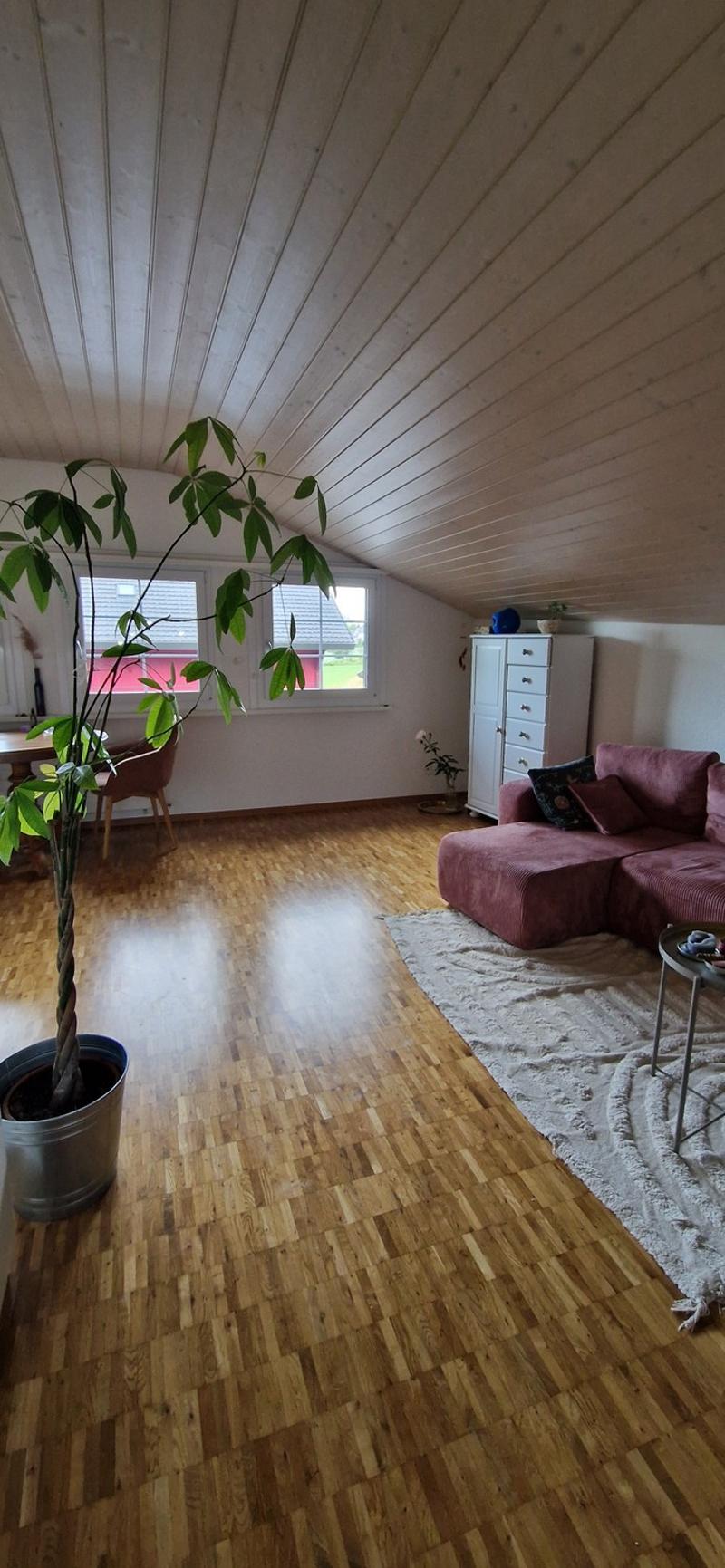 2 Pièces Appartement, 8624 Grüt (6)