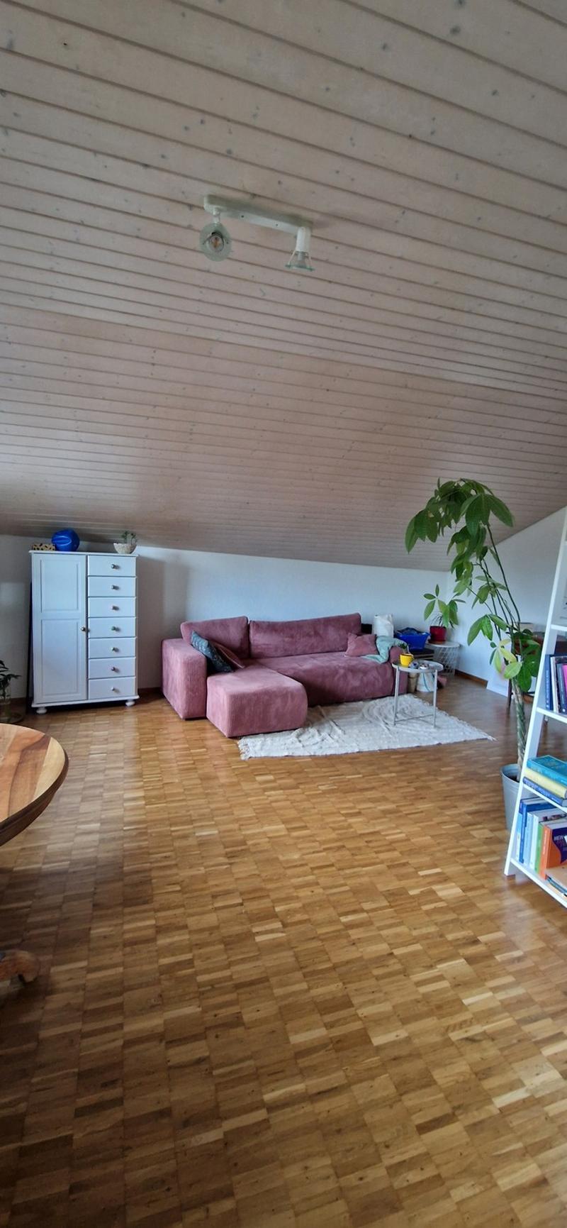 2 Pièces Appartement, 8624 Grüt (2)