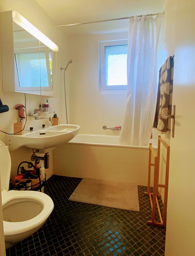 Bright Furnished Zurich Apartment for Sublet (5)