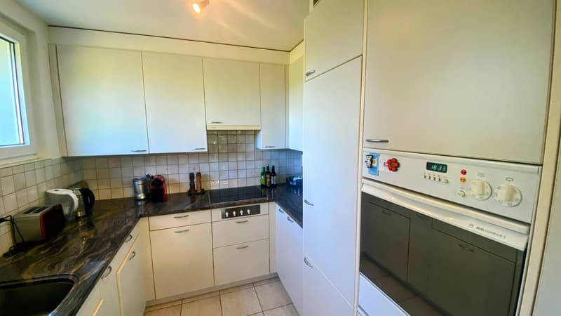 Bright Furnished Zurich Apartment for Sublet (2)