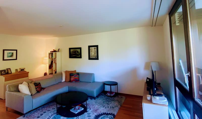 Bright Furnished Zurich Apartment for Sublet (1)