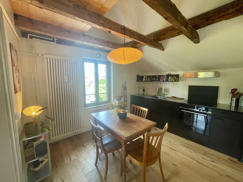 Appartement meublé temporaire de 2 pièces avec galerie sous le toit (1)