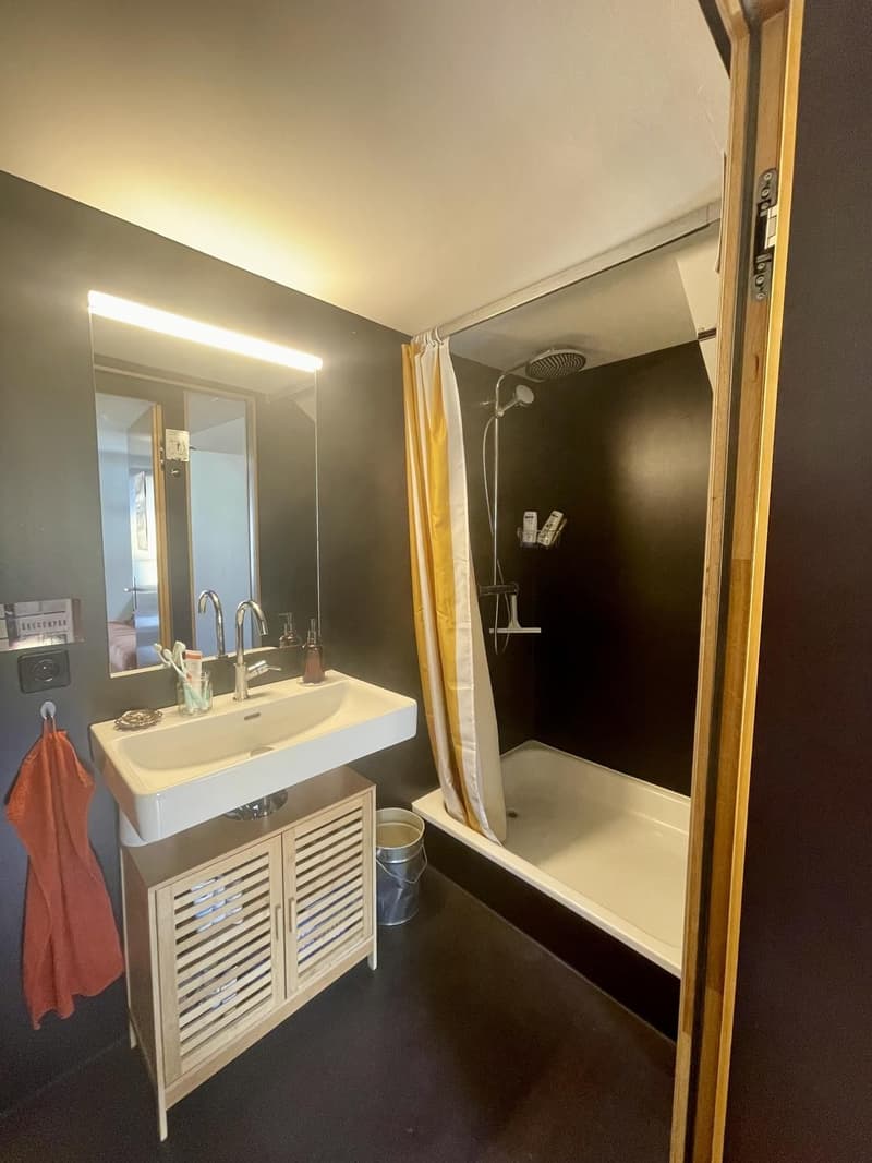 Appartement meublé temporaire de 2 pièces avec galerie sous le toit (3)