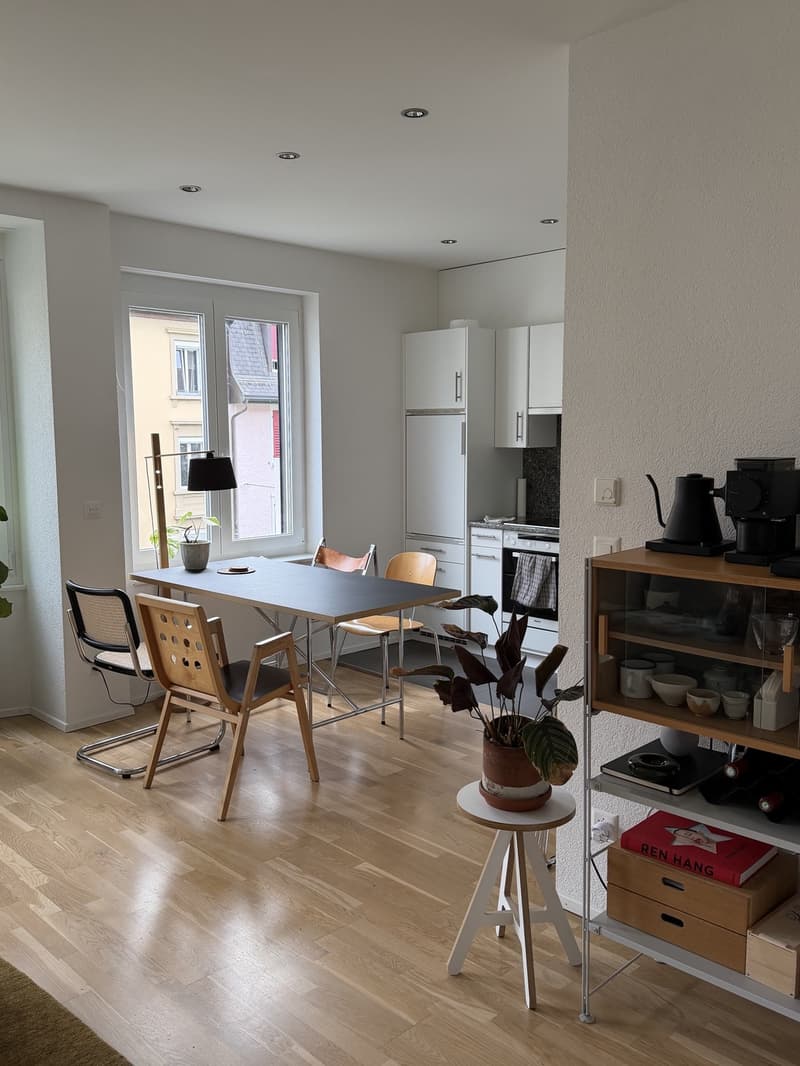 Appartement 2 pièces à Wiedikon près de Lochergut et Idaplatz (4)