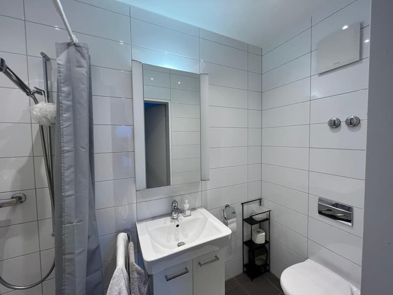 Appartement 2 pièces à Wiedikon près de Lochergut et Idaplatz (8)