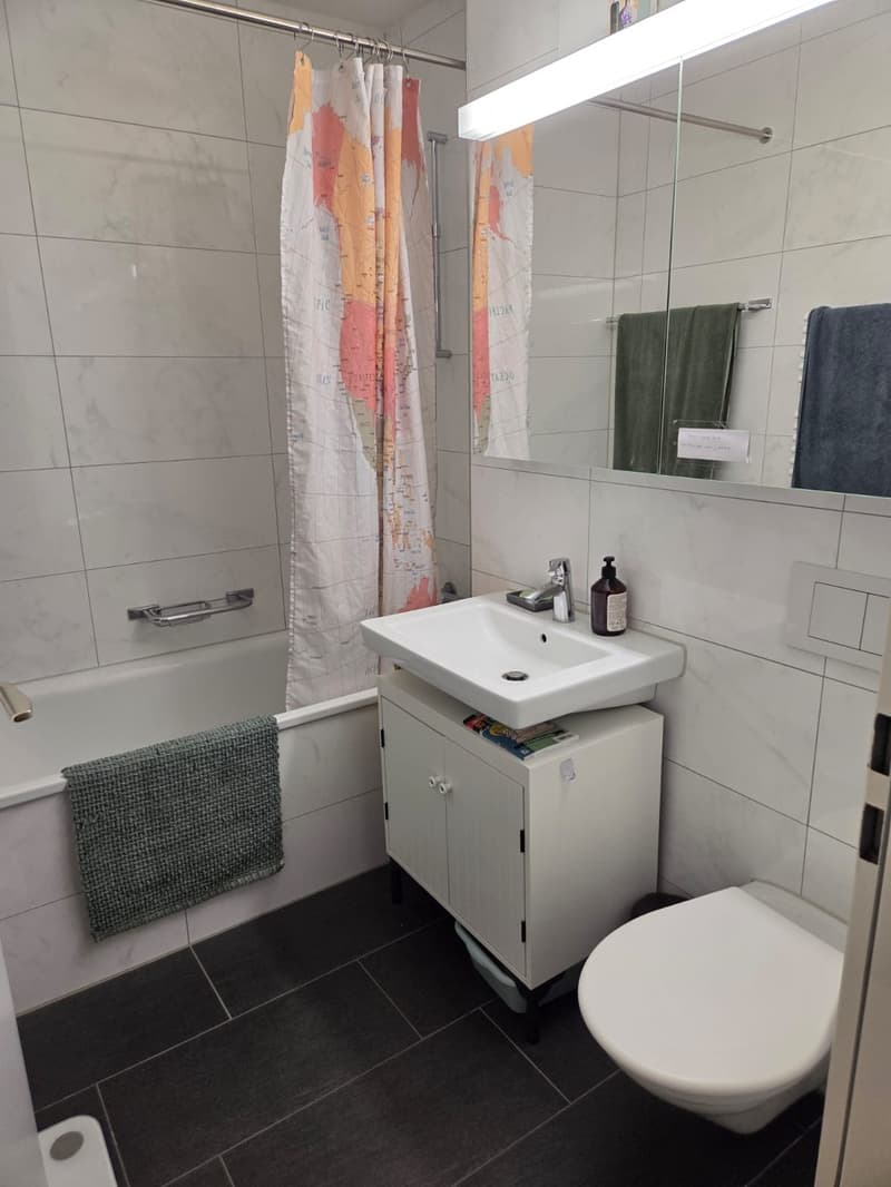 Charming 2.5-Room Apartment with Balcony in Dübendorf. CHF 1,915/month | Available immediately (8)
