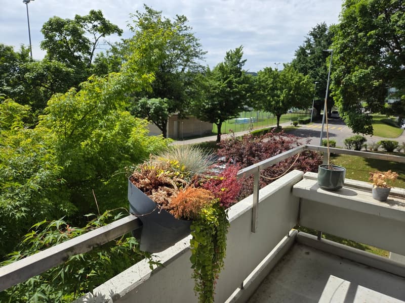 Charming 2.5-Room Apartment with Balcony in Dübendorf. CHF 1,915/month | Available immediately (3)