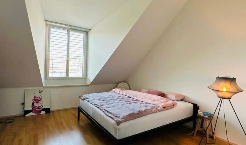 Moderne und helle 3.5 Zi Wohnung zu vermieten (4)