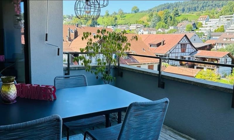 Moderne und helle 3.5 Zi Wohnung zu vermieten (2)