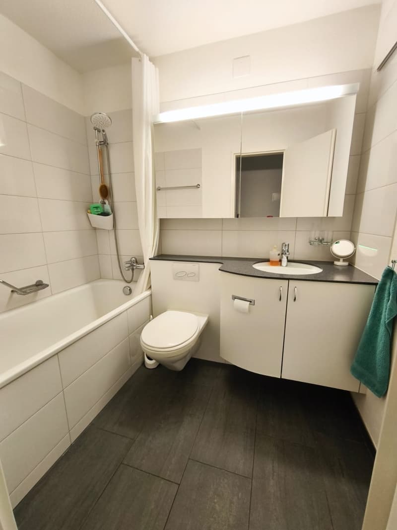 Mieten Sie eine 3 ½-Zimmer-Wohnung in Gattikon. (7)