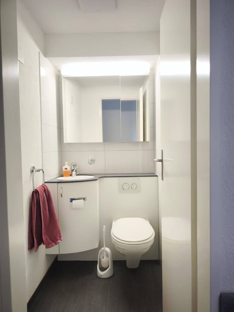 Mieten Sie eine 3 ½-Zimmer-Wohnung in Gattikon. (8)