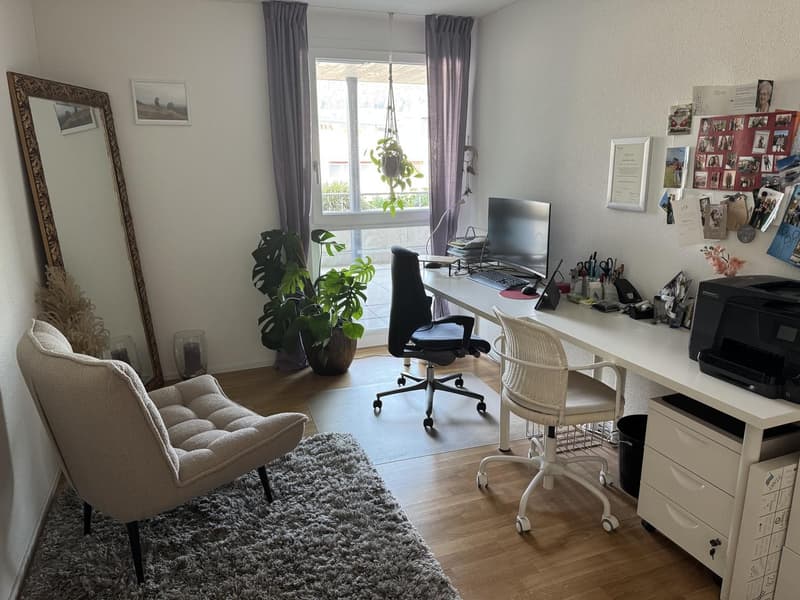 Appartement 3½ pièces à Baden (AG), meublé, temporaire (8)