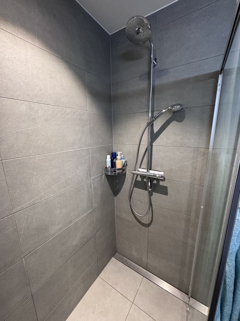 Appartement 3½ pièces à Baden (AG), meublé, temporaire (11)