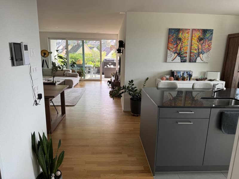 Appartement 3½ pièces à Baden (AG), meublé, temporaire (5)