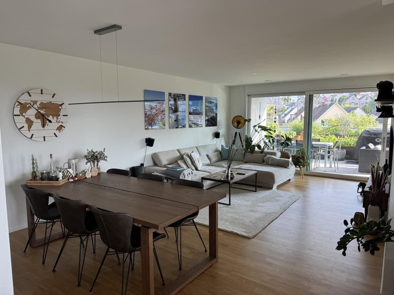 Appartement 3½ pièces à Baden (AG), meublé, temporaire (1)