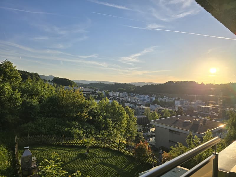 4.5 Zimmer Wohnung (5)