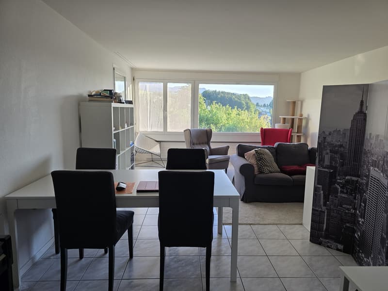 4.5 Zimmer Wohnung (1)