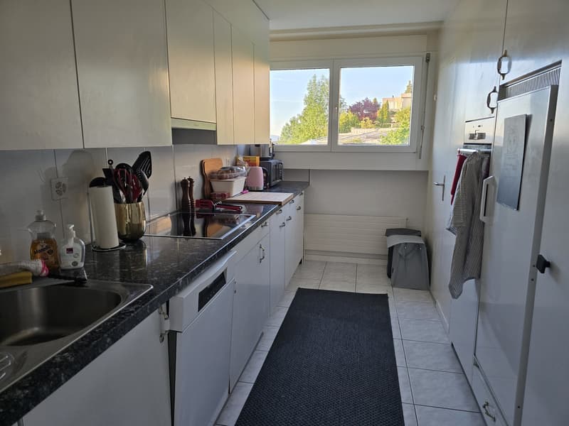 4.5 Zimmer Wohnung (2)