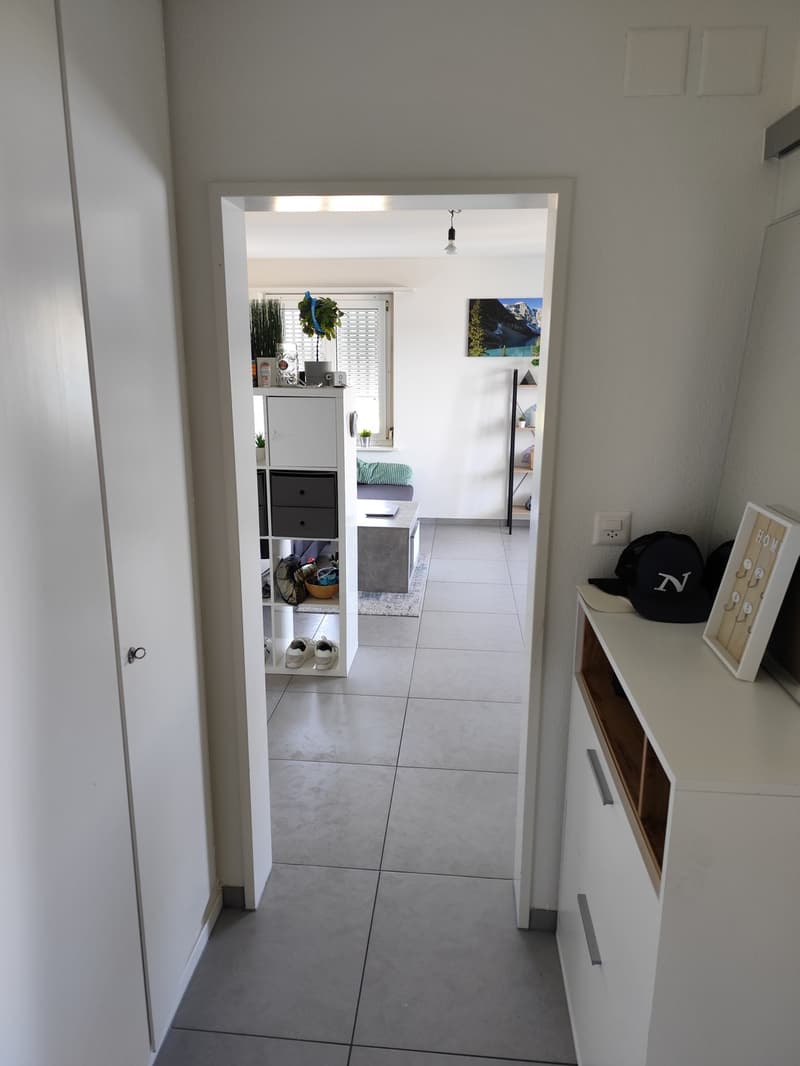 Direkt am Zürichsee: 2.5-Zimmer-Wohnung in Au (Wädenswil) wird frei (4)