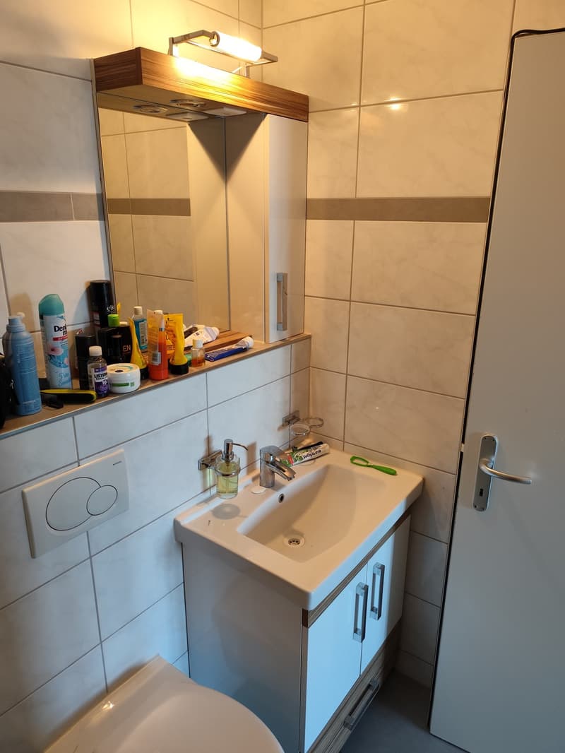 Direkt am Zürichsee: 2.5-Zimmer-Wohnung in Au (Wädenswil) wird frei (5)