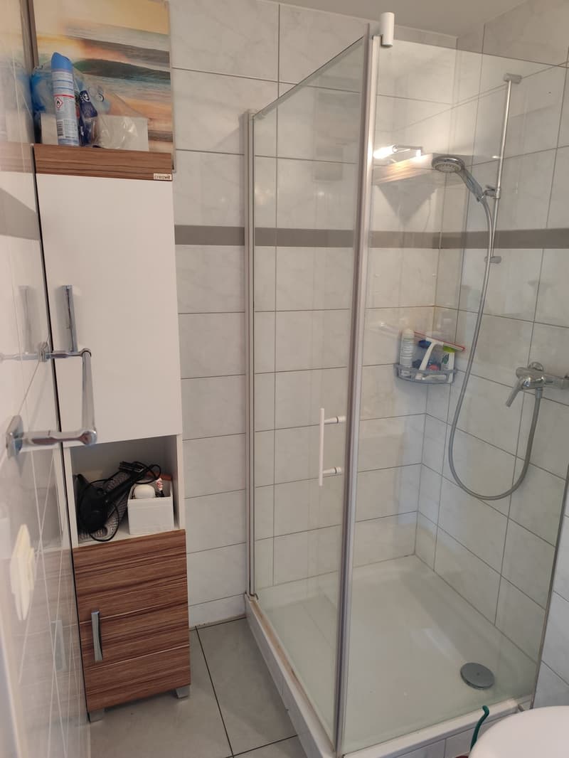 Direkt am Zürichsee: 2.5-Zimmer-Wohnung in Au (Wädenswil) wird frei (6)